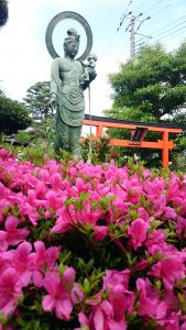 成福院　法話の会　写経会 5月　