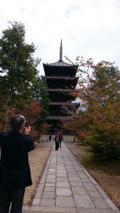 ２大覚寺2018　仁和寺